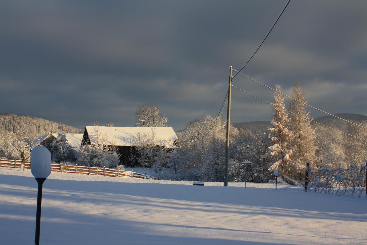 Bed and Breakfast Dom Na Klonowym Wzgorzu Строне-Слёнске Экстерьер фото