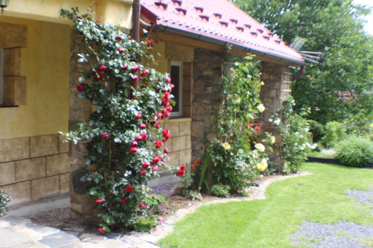 Bed and Breakfast Dom Na Klonowym Wzgorzu Строне-Слёнске Экстерьер фото